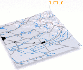 3d view of Tuttle