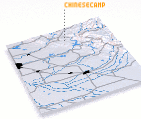 3d view of Chinese Camp