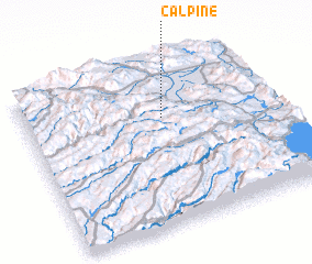 3d view of Calpine