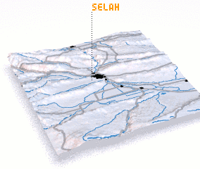 3d view of Selah