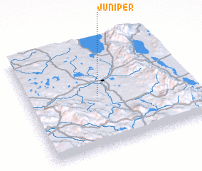 3d view of Juniper