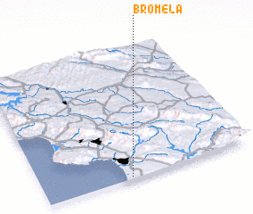 3d view of Bromela