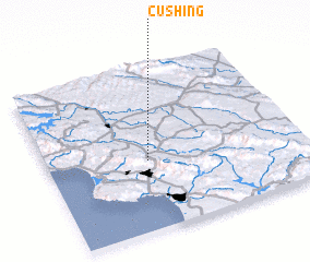 3d view of Cushing