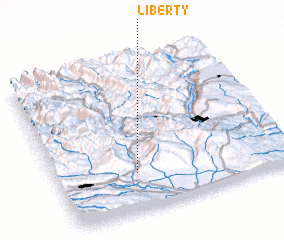 3d view of Liberty