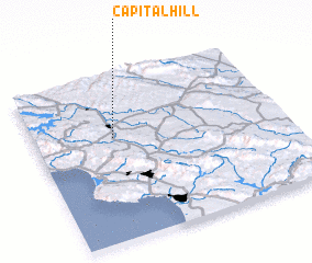 3d view of Capital Hill