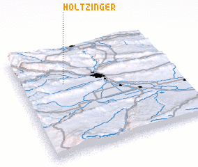3d view of Holtzinger