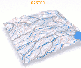 3d view of Gaston