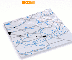 3d view of Hickman