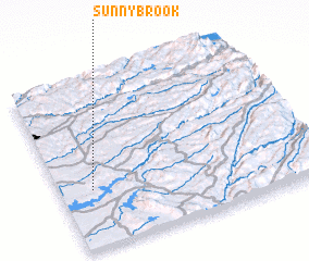 3d view of Sunnybrook