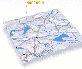 3d view of Moccasin