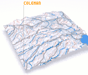 3d view of Coleman