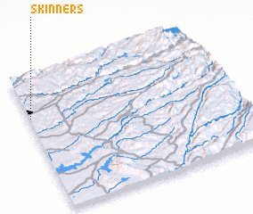 3d view of Skinners