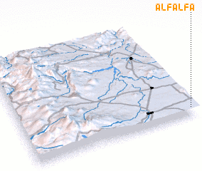 3d view of Alfalfa