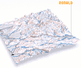 3d view of Ronald