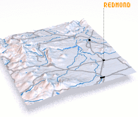 3d view of Redmond