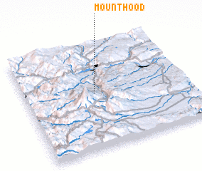 3d view of Mount Hood