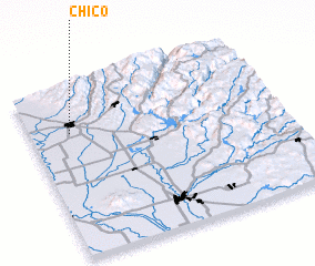 3d view of Chico