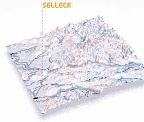 3d view of Selleck