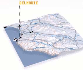 3d view of Del Monte