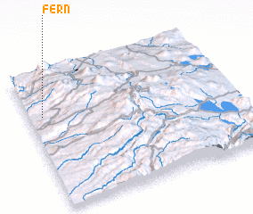 3d view of Fern