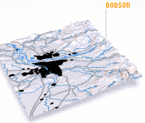 3d view of Dodson