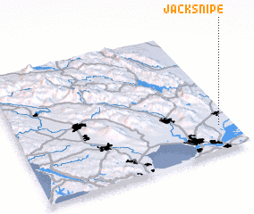 3d view of Jacksnipe