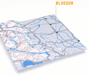 3d view of Bluegum