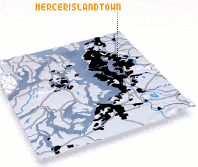 3d view of Mercer Island Town