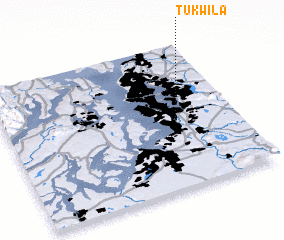 3d view of Tukwila