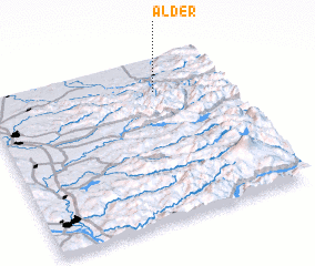 3d view of Alder