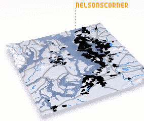 3d view of Nelsons Corner