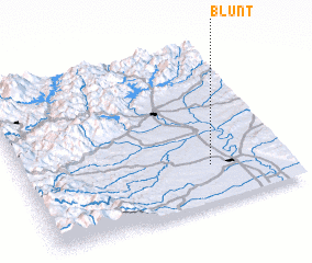 3d view of Blunt