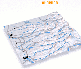 3d view of Ohop Bob