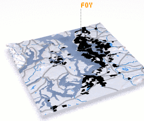 3d view of Foy