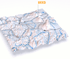 3d view of Weed