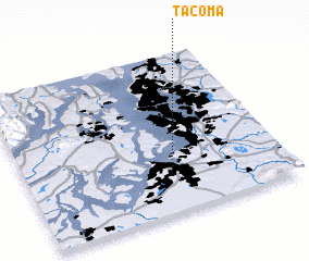 3d view of Tacoma