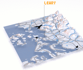 3d view of Leary