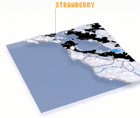 3d view of Strawberry