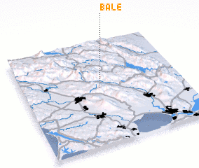 3d view of Bale