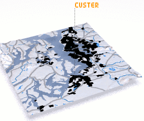 3d view of Custer