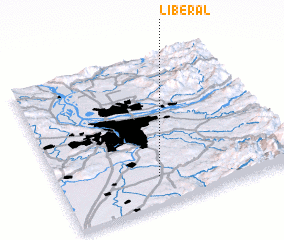 3d view of Liberal