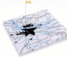 3d view of Rye