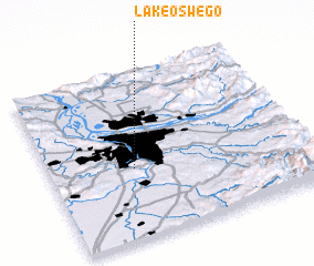3d view of Lake Oswego