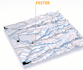 3d view of Foster