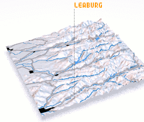 3d view of Leaburg