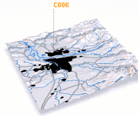 3d view of Cook