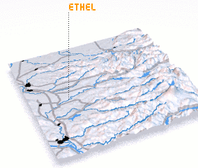 3d view of Ethel