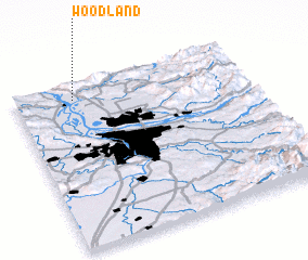 3d view of Woodland