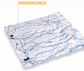 3d view of Skookumchuck