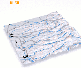 3d view of Bush